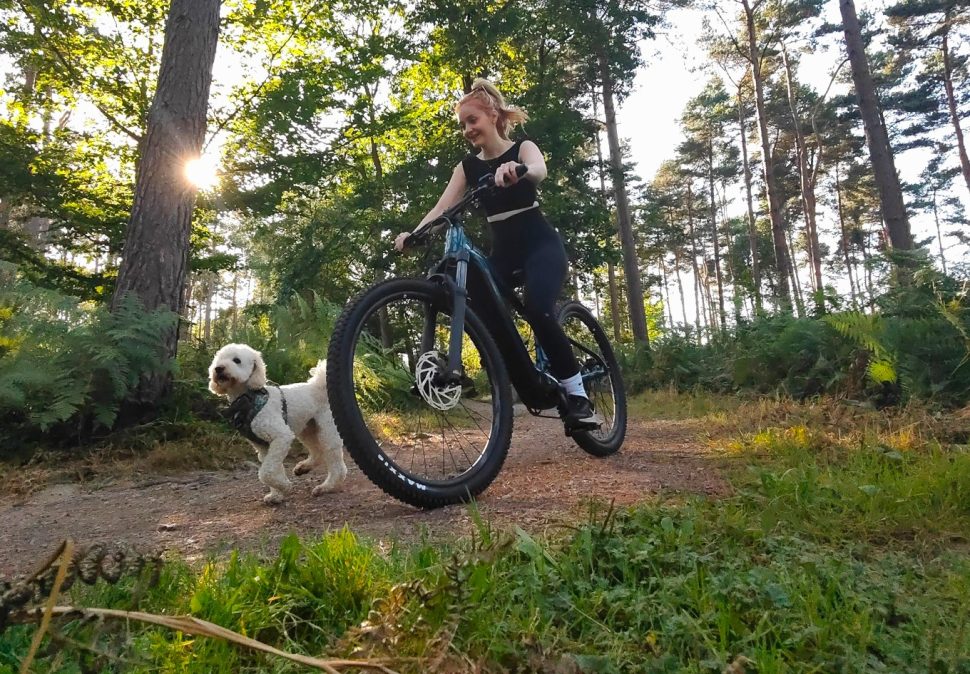 Electric Bikes